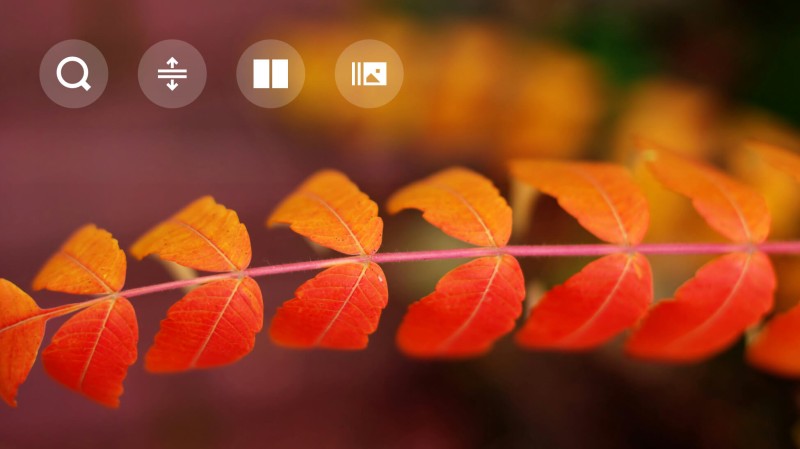 Jesenn&aacute; aktualiz&aacute;cia 2025 v Zoner Studiu