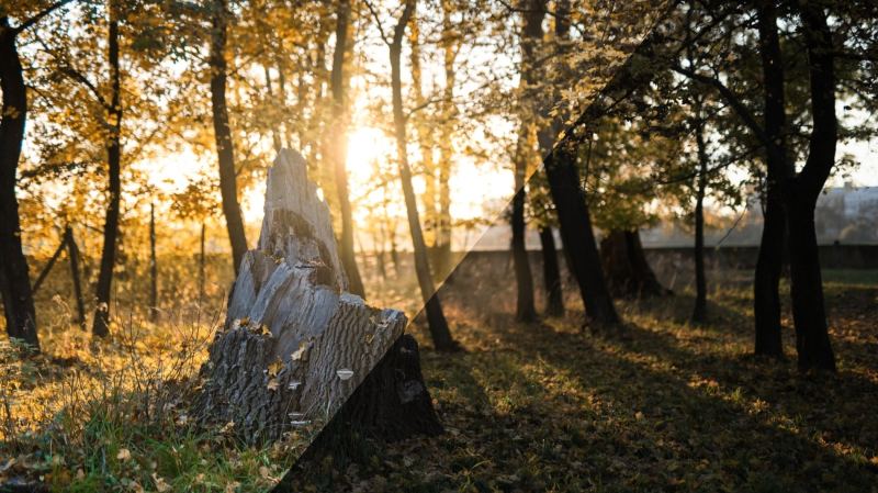 Jak vyvolat RAW? Stač&iacute; p&aacute;r &uacute;prav a z průměrn&eacute; fotky uděl&aacute;te skvělou