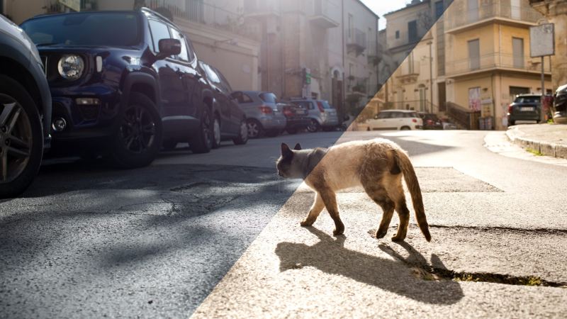 3 způsoby, jak oživit mdl&eacute; fotografie